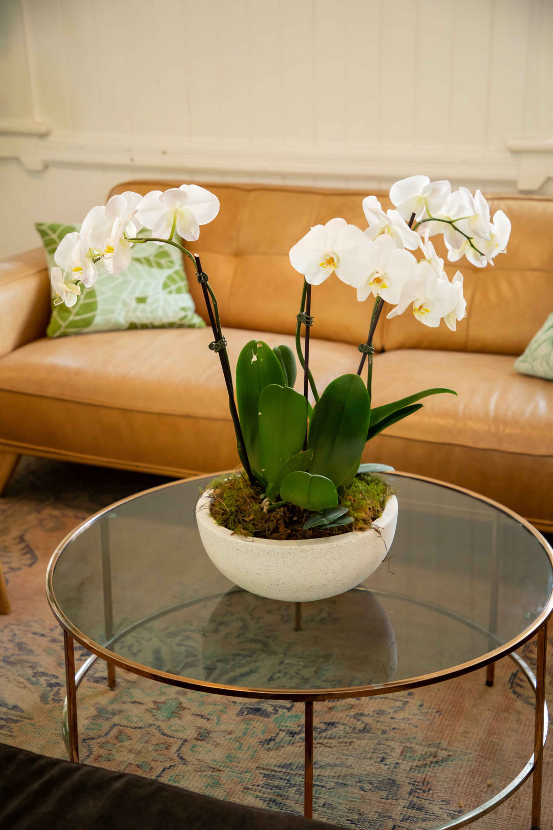 White Phalaenopsis Orchid stems placed in wide Terrazzo style pot placed on glass coffee table