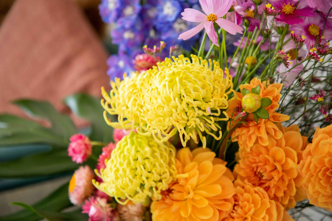 Yellow waratah orange dahlia pink cosmo and blue delphinium in background