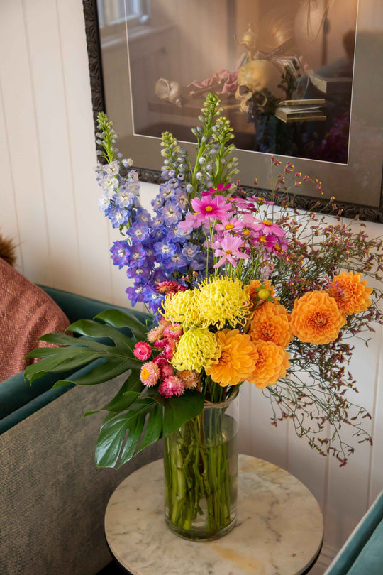 Large vase arrangement filled with bright bold flowers blue delphinium yellow waratah orange dahlia pink cosmo and strawflowers in glass vase sitting on side table