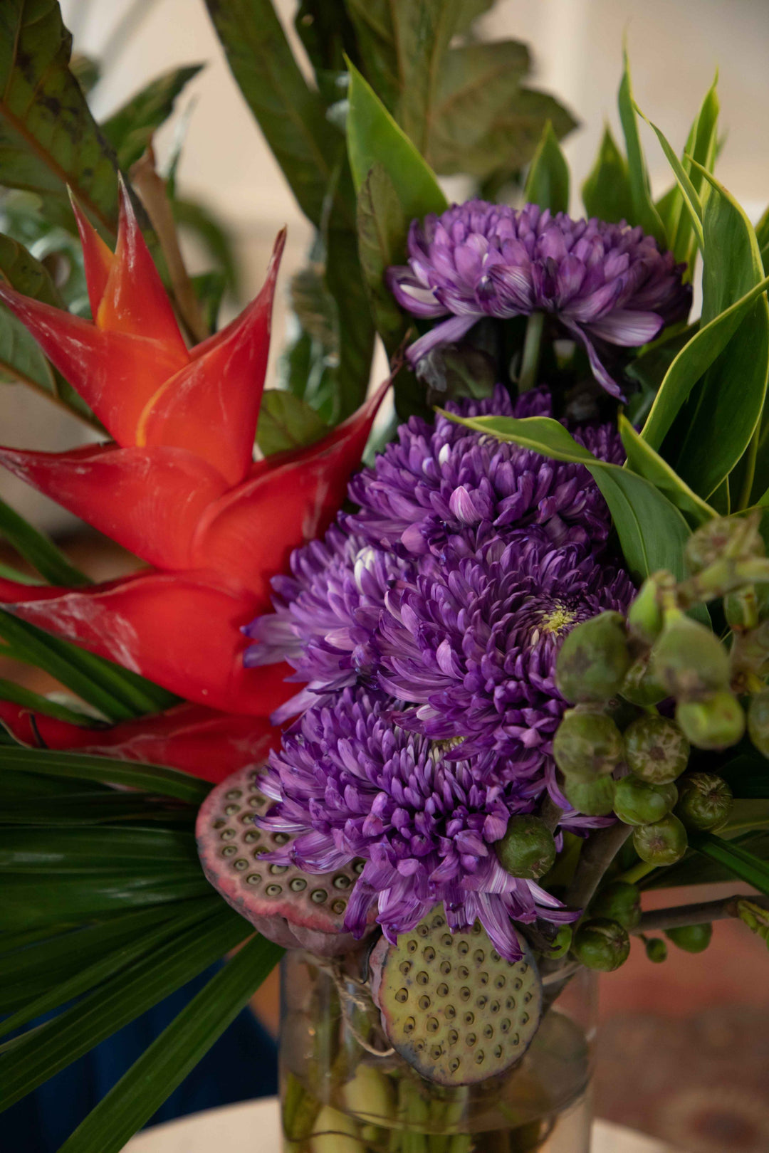 Close up of red clab claw flower bright purple Chrysanthemums and lotus pods