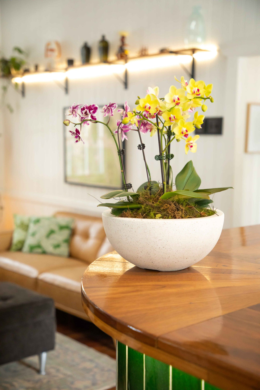 Coloured Phalaenopsis Orchid stems placed in wide Terrazzo style pot placed on timber bar