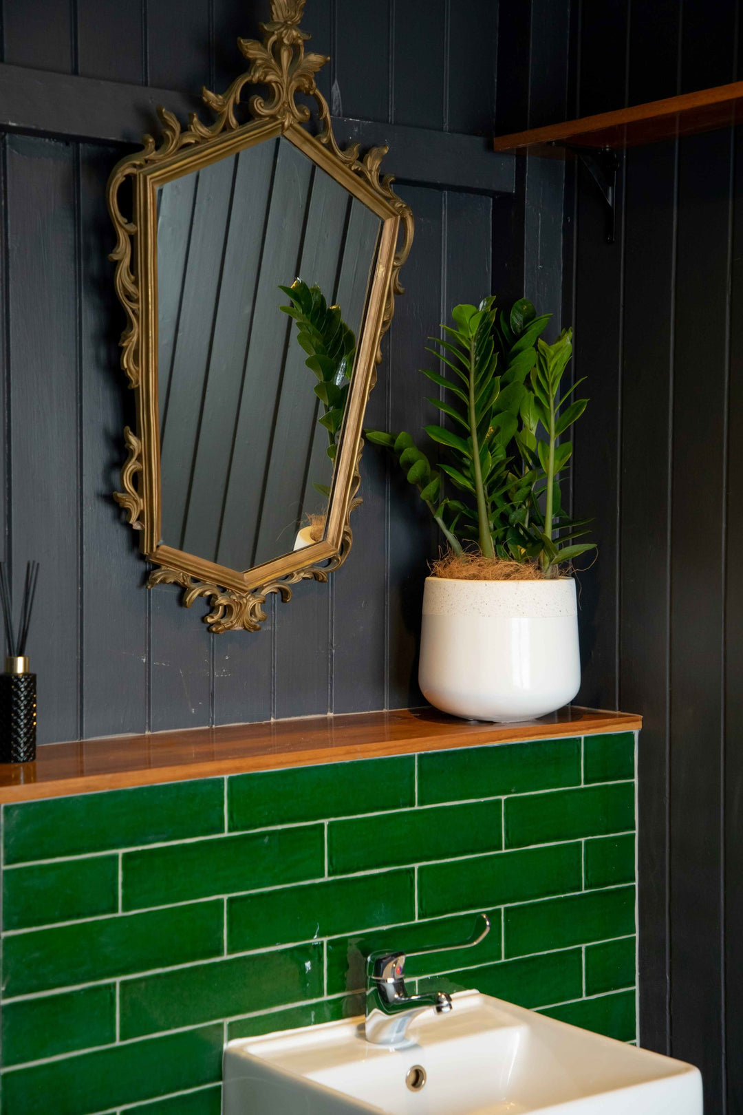 Zanzibar Gem ZZ indoor plant placed in white Terrazzo style pot sitting on timber bench above emerald green tile walled